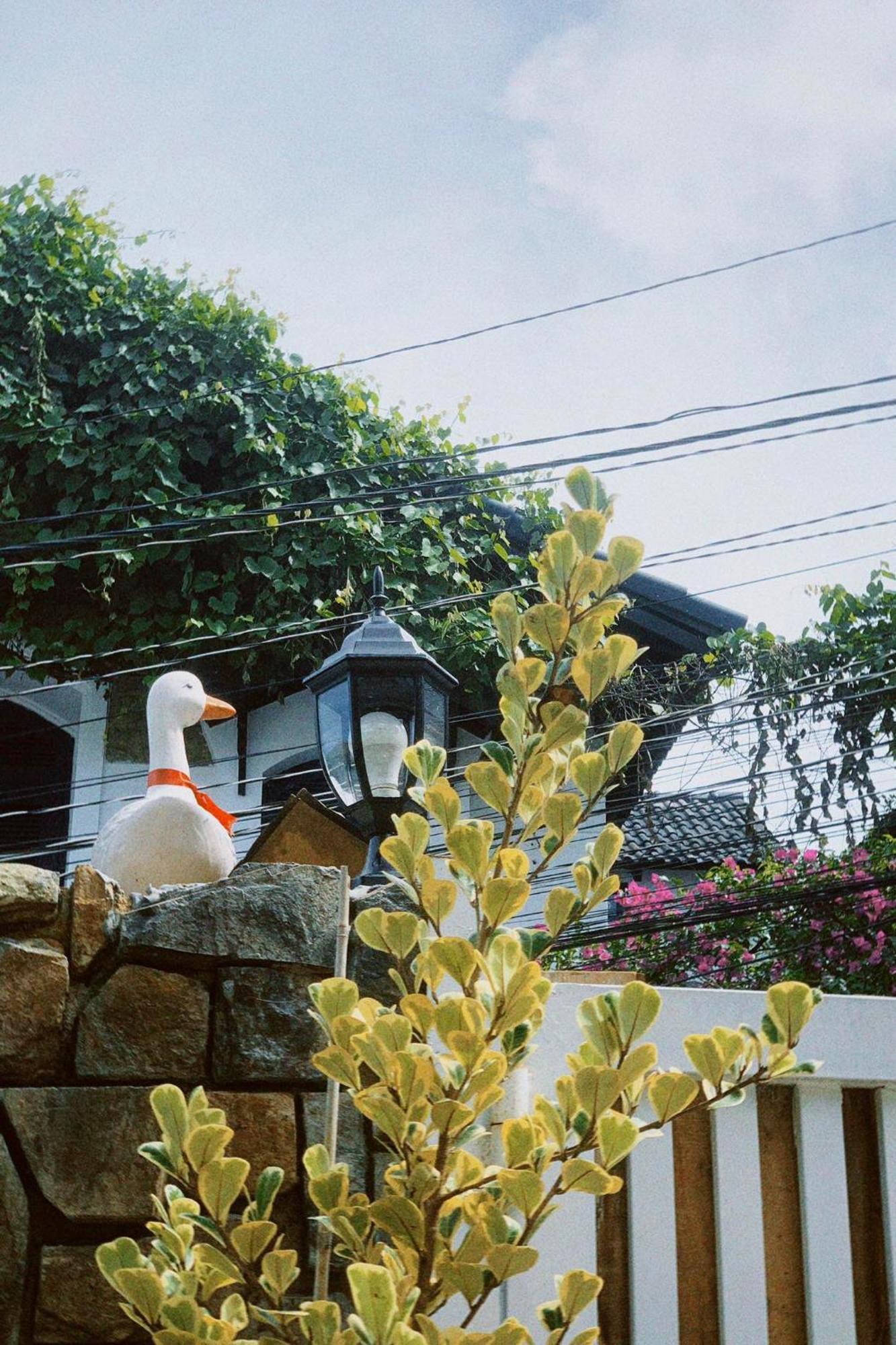 Chai Nho Homestay Da Lat Eksteriør billede